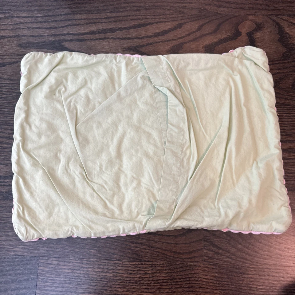 Pottery Barn Niños Mariposa Verde/Blanco, Almohada Acolchada Estándar Falsa Foto 2 de 2