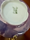 Antique Carl Tielsch (C.T. Altwasser) 1902 hand painted iridescent cup & saucer — photo 3