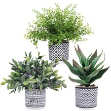 Set of 3 Assorted Small Potted Plants Faux Eucalyptus Boxwood Plants Aloe Suc...