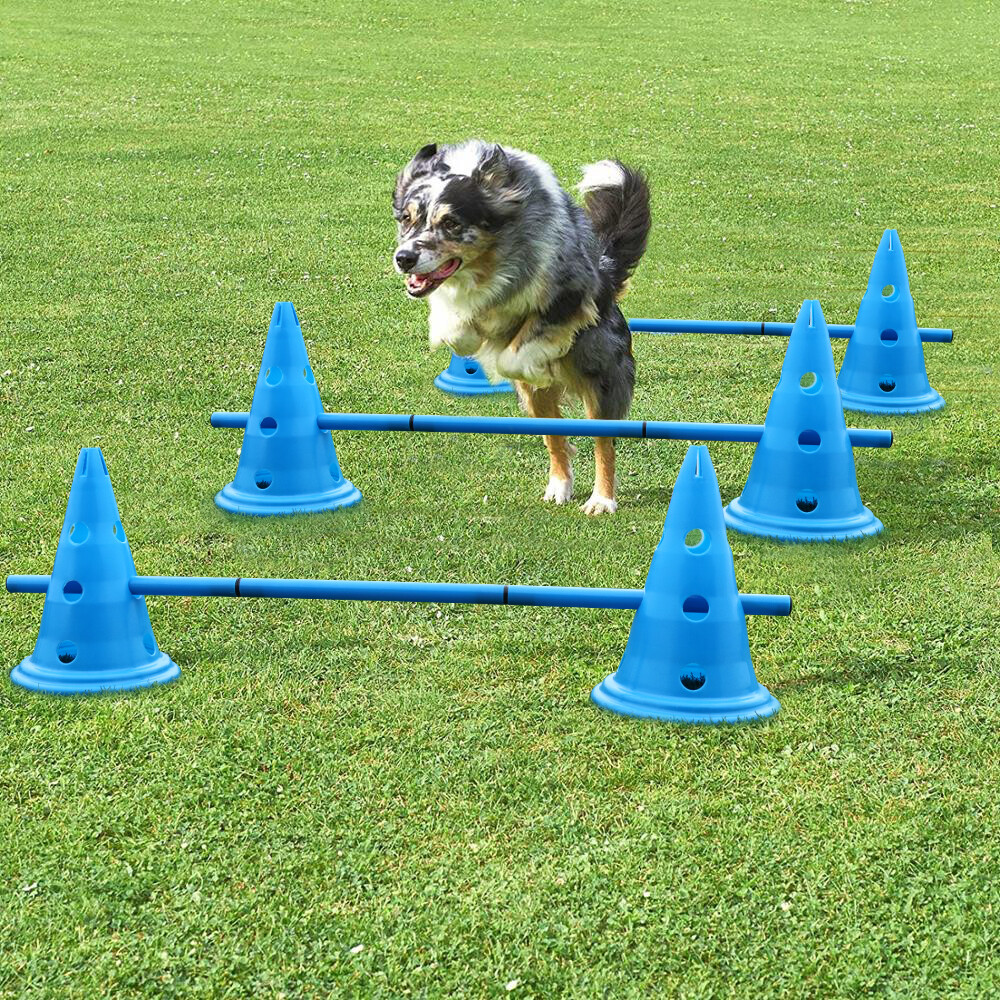 Dog Agility Equipment set Jumps Training Obstacle Hurdle Cone Kit