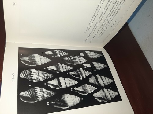 Tropical Pacific Marine Shells Walter O. Cernohorsky Hardcover - Foto 11 di 11