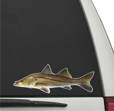 COMMON SNOOK Fish Vinyl Decal Car Truck Sticker Fishing Decal