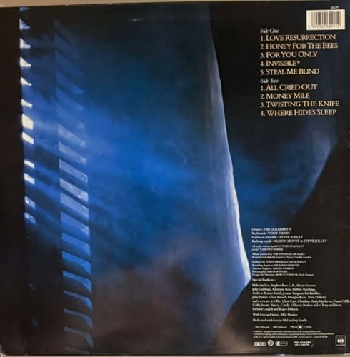 Alison Moyet ALF LP 1984 CBS 26229 Sehr guter Zustand + Vinyl Synth Pop Fehldruck Dozier UK Presse - Bild 2 von 6