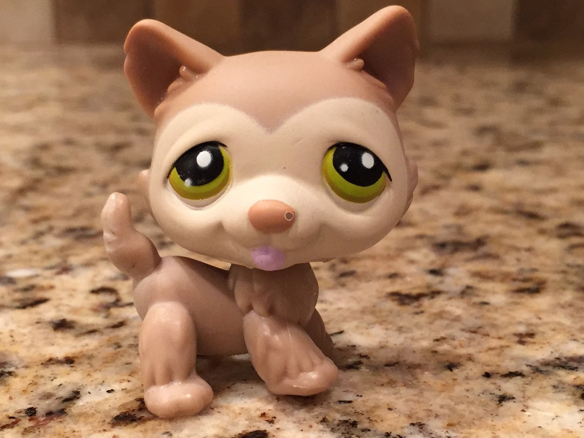 Littlest Pet Shop Tan Husky Puppy Dog with Green Eyes #358 EUC