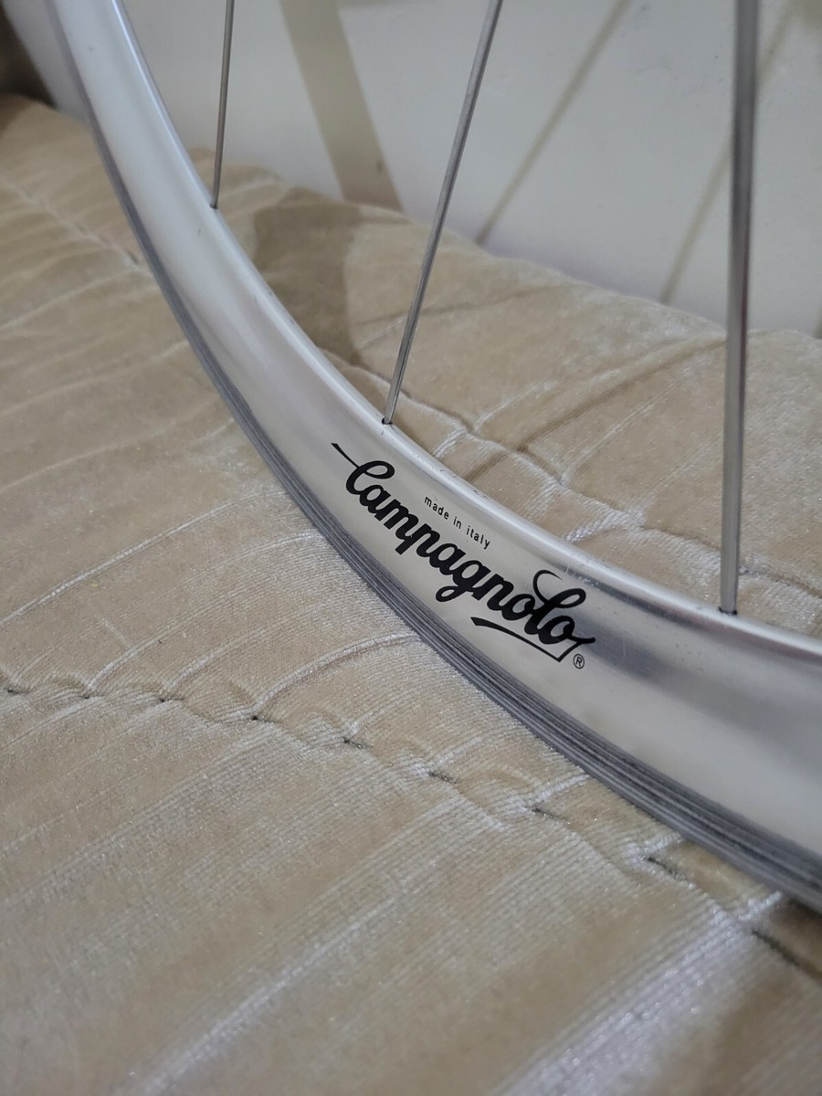 Campagnolo Shamal 26