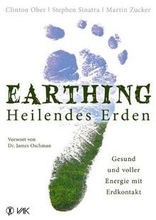 Earthing - Heilendes Erden: Gesund und voller Energ... | Buch | Zustand sehr gut