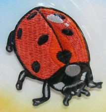 Parche de animal Little Critterz bordado planchado Ladybug (Ladybird) LCPA251443