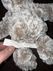 Small Giving Bear Love Plush Demdaco Loveable Huggable Always in my Heart 8.5 — photo 7