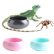3 PCS Worm Dish Reptile Food Bowl Tarantula Water Spider Gecko Lizard