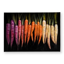 Begin Home Decor CODM1724UQ9Z7O 17 x 24 in. Colorful Carrots Door Mat - Orang...