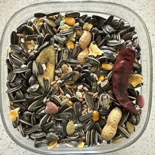 Higgins Imperial parrot diet food seed sunflower peanuts fruit macaw grey 40lb