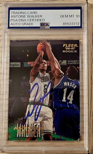 Antoine Walker Signed Celtics 1996-97  Premium Rookie Card  - (PSA/DNA) GEM 10