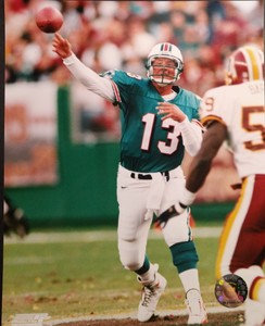 ebay miami dolphins