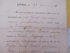 1895 LÖBTAU ( Dresden)  Geburtsurkunde MARTIN zu Fam. Friedrich Arthur Peschel