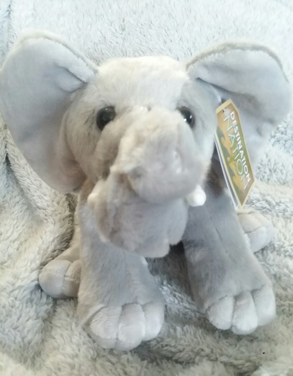 destination nation sloth