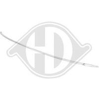 Diederichs Zier-/Schutzleiste, StoßFäNger Hinten FüR Audi