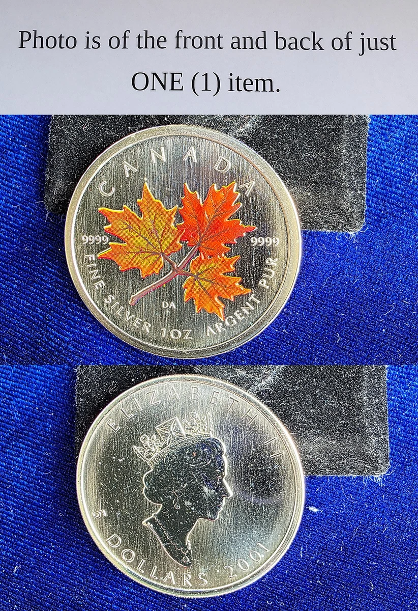 Canadian Maple Leaf Uncertified Silver Bullion Coins 2001 for sale