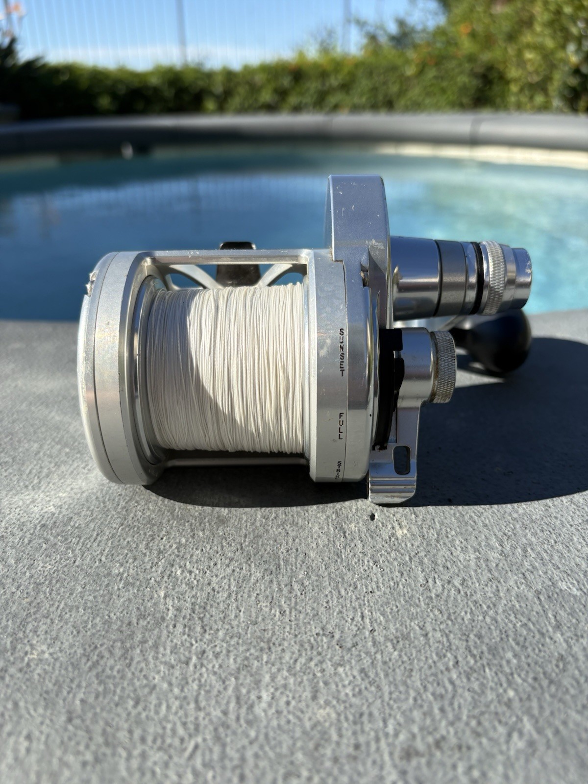 Penn Torque TRQ 30LD - 2 Speed