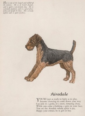 Airedale Terrier Dog Print, Description and Poem - CUSTOM MATTED 8 x 10 - NEW