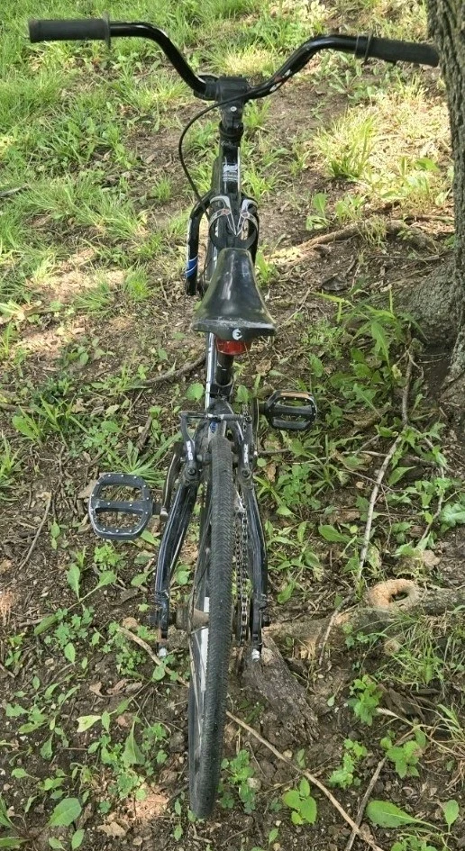 Bicicleta de Carreras BMX Intense "Expert XL" 6061 Cuadro de Aleación de Aluminio Usada Buen Estado Foto 3 de 4