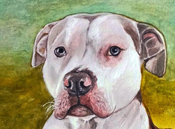 Портрет домашнего животного на заказ с фотографии 12x16 дюймов реалистичная акварель персонализированная картина - Изображение 3 из 4