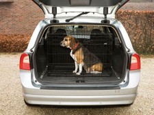 Gabbia Pieghevole per Cani e Gatti Kennel in Acciaio Doppia Porta con maniglia