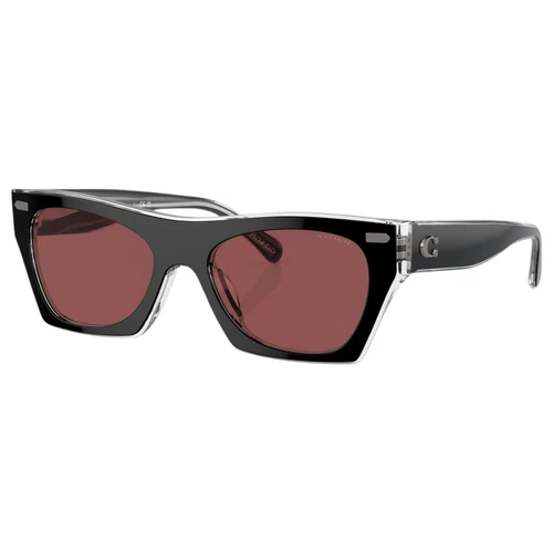 Womens Coach Sunglasses Hc8389u Black Clear/ Violet Sunnies - Picture 1 of 6