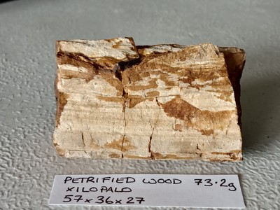 73 2g Petrified Wood Chunk Rough For Cabs Fossils Specimens Display Xilopalo Ebay