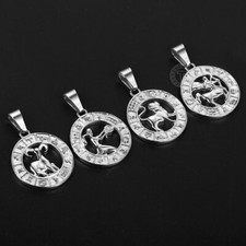 Solid Stainless Steel 12 Zodiac Sign Constellation Pendant Charm Silver Tone