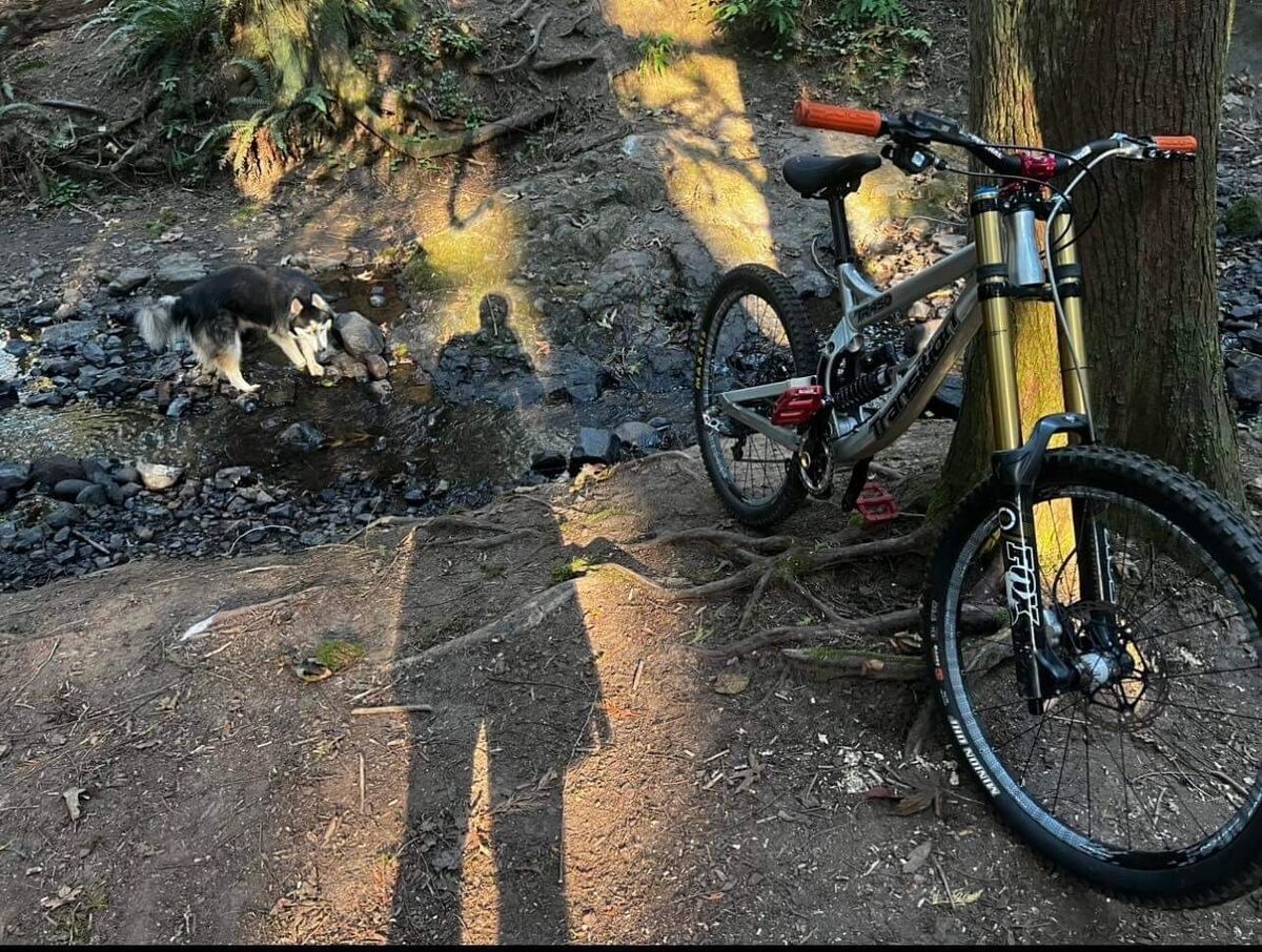 Transition TR450 Downhill Mountain Bike | eBay Transition TR450 Downhill Mountain Bike | eBay