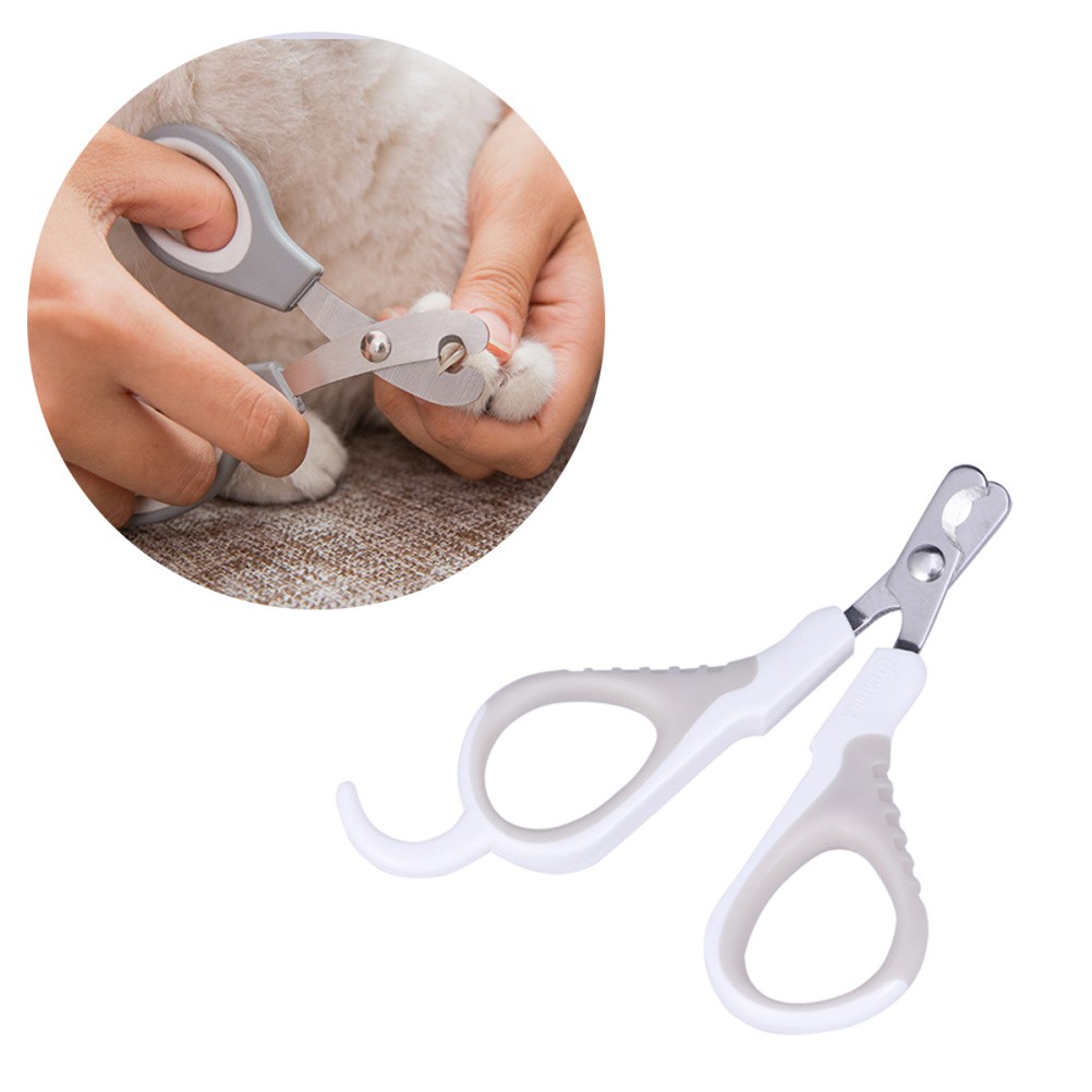 Accessori per la cura del cane foto 5