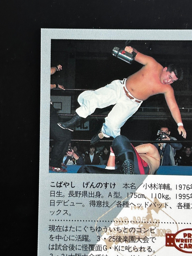 Ryuji Yamakawa Pro Wrestling Card 155 Professional Japanese