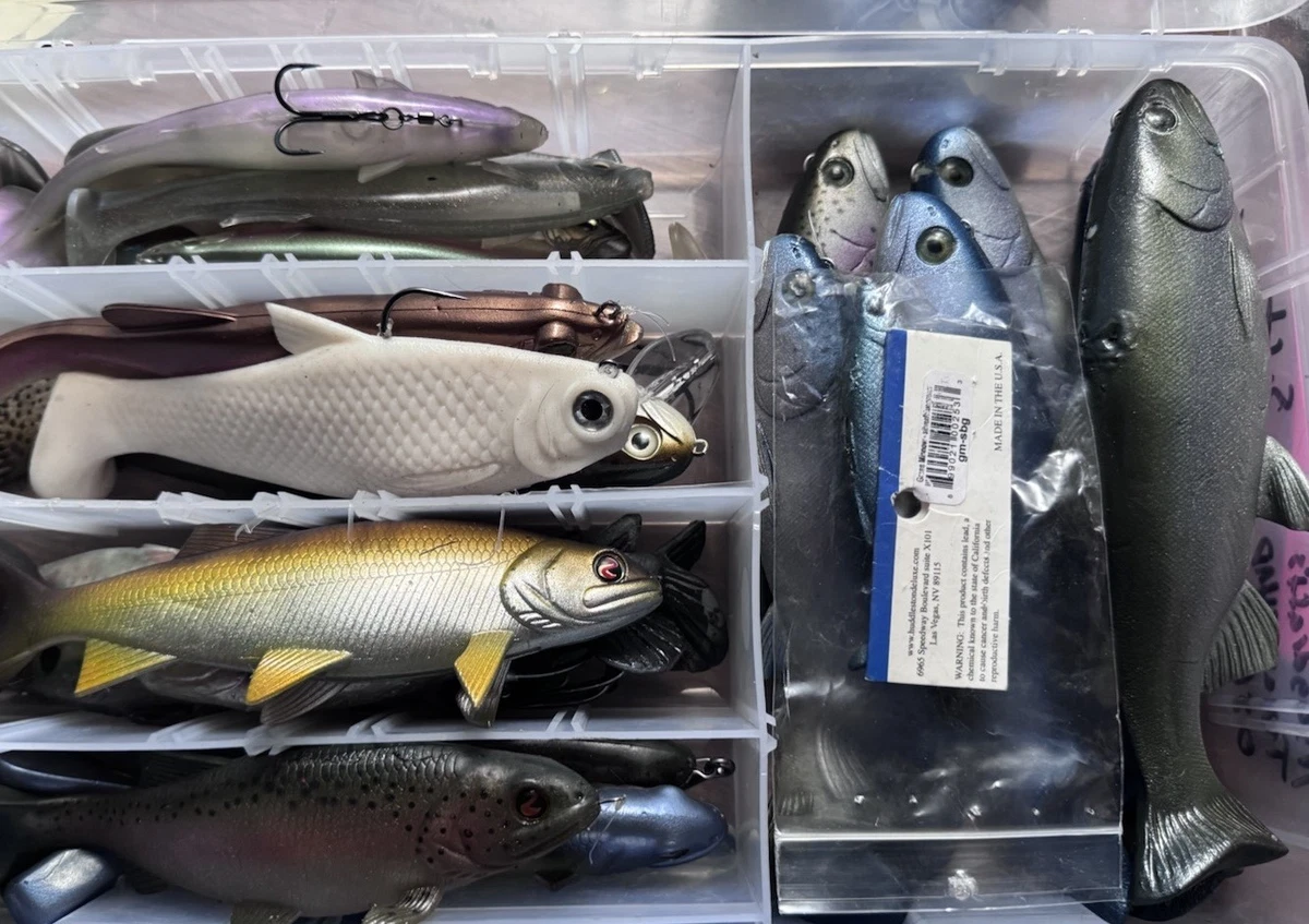 shimano 20 stella sw 5000xg Pre-Order 25 coming in May – JDM TACKLE HEAVEN ensuring gentle and stable FISHING TIPS] WHAT IS freshwater fly reel Color:green