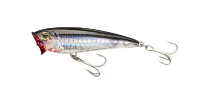 Yo-Zuri 3D Inshore Popper 2-3/4'' 1/4oz Topwater Lure (Free Shipping within US)