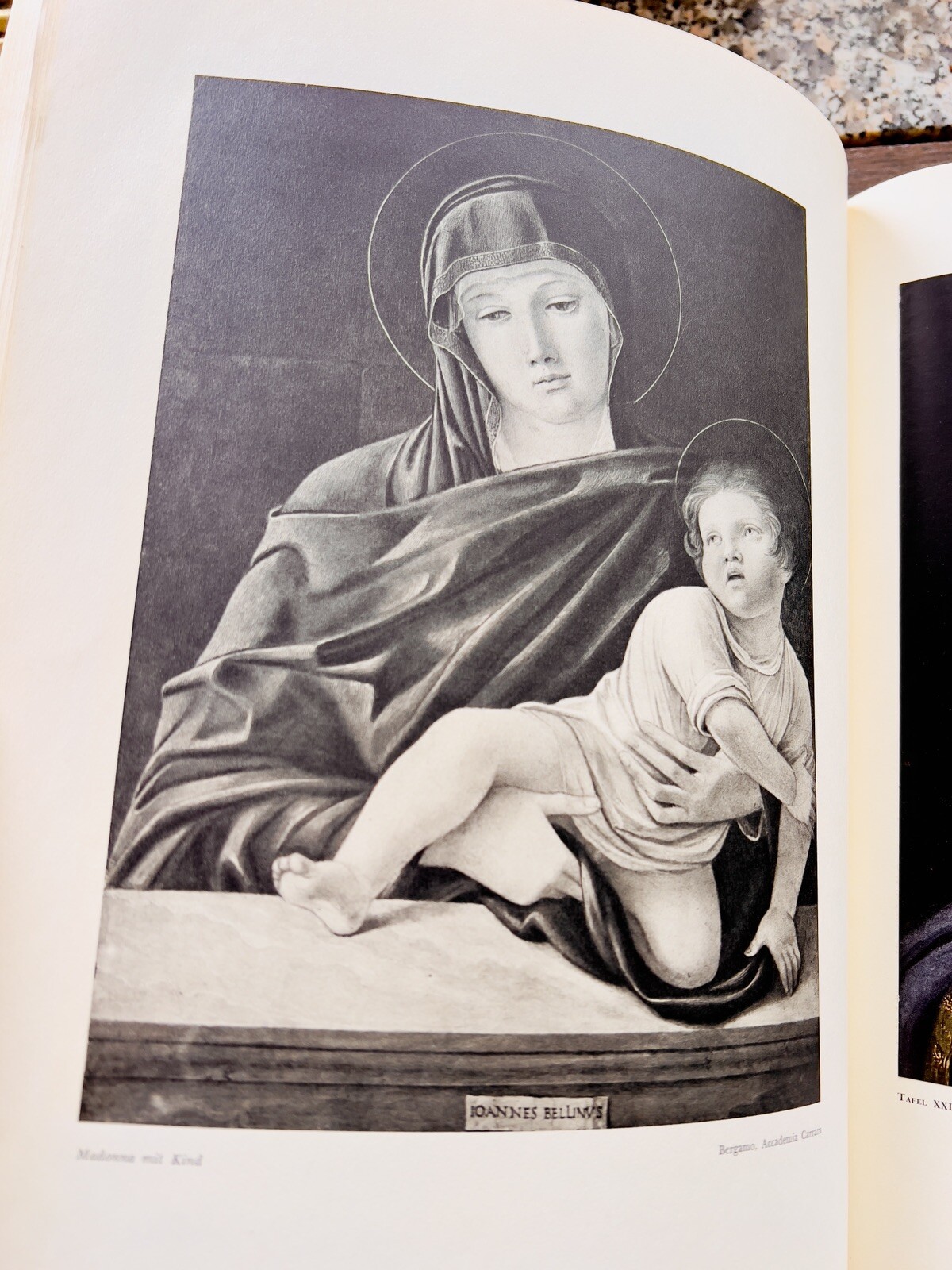 Vintage Book Giovanni Bellini Pictures Colour Plates Art Folio Illustration C...