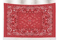 Paisley Bandana Western Style tapestry 60 60