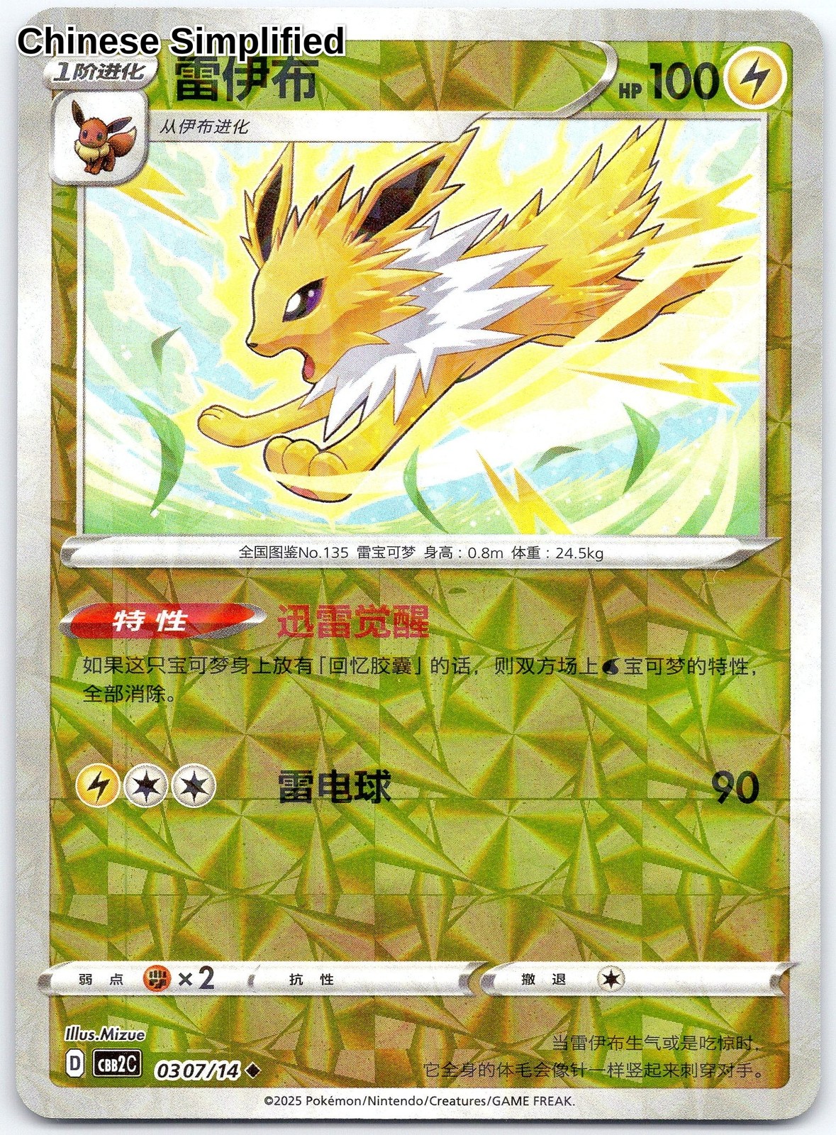 (US SELLER)Jolteon (Rotary) 307[CHN]