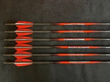 Black Eagle Carnivore 350 .003 Fletched 2.5" Fusion Vanes Super Sorted 6pk NEW