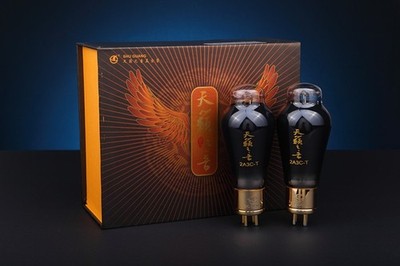 2 x ShuGuang 2A3C-T Gold T Grade HIFI Audio Vacuum Tube Amplifier Classic 2A3