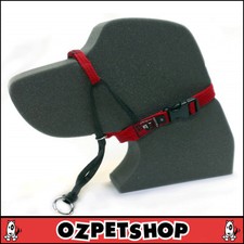 BlackDog - Black Dog Wear Dog Training Halter - Head Halter - 7 Colours 5 sizes