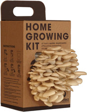 Kit Coltivazione Funghi a Casa – Coltiva Funghi Ostrica Freschi in 15 Giorni | R