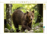 Calvendo Puzzle Brown Bear - Slovenia | 1000 Pieces, Finished Size 25.2 × 18.9 I