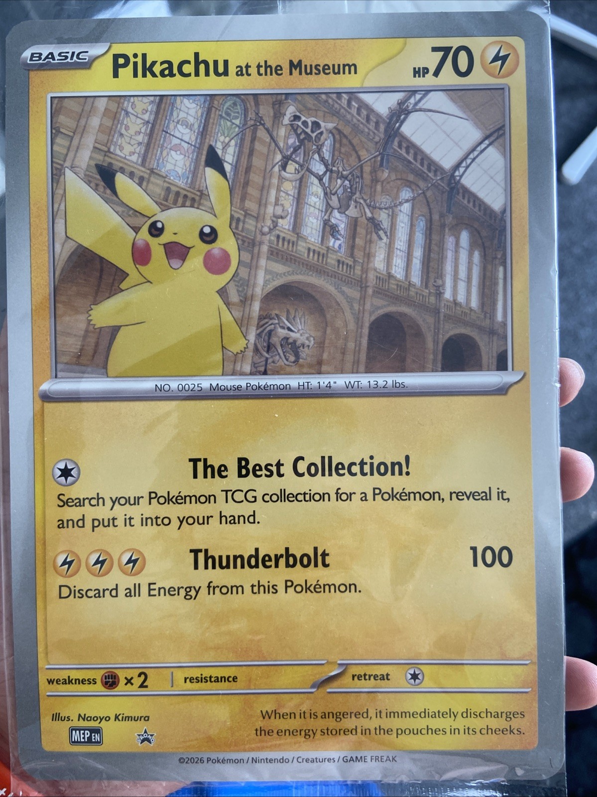 Pikachu At The Museum Pokemon Card