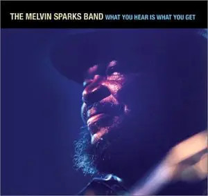 CD The Melvin Sparks Band What You Hear Is What You Get Nectar Recordings