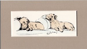 Lucy Dawson ~ Border Terrier/Terrier ~ Hand Coloured Print Genuine Vintage 1936