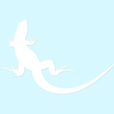 Lizard Gecko Anole - Vinyl Decal Sticker - Multiple Colors & Sizes - ebn2860