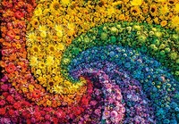 Puzzle (1000 T.) Colorboom - Strudel (Clementoni) Neu/Ovp