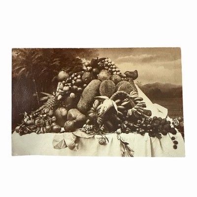 Antique RPPC Tropical Fruit Still Life - Asahi & Co. Medan Sumatra Fenton Comp