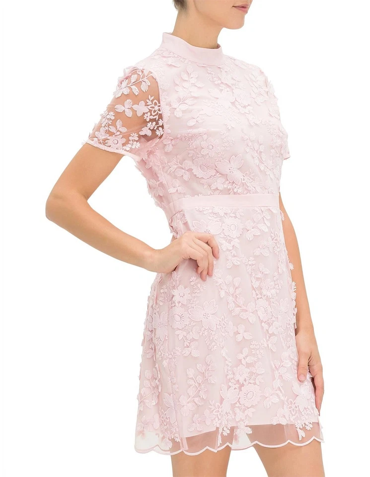Vestido TED BAKER Rosa Adriya Apliques 3D Cuello Encaje Transparente Cremallera Expuesto 4 TB = 10 Foto 3 de 4