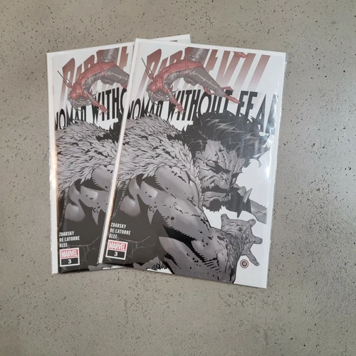 Daredevil Woman Without Fear 3 1st New Punisher Logo NM-